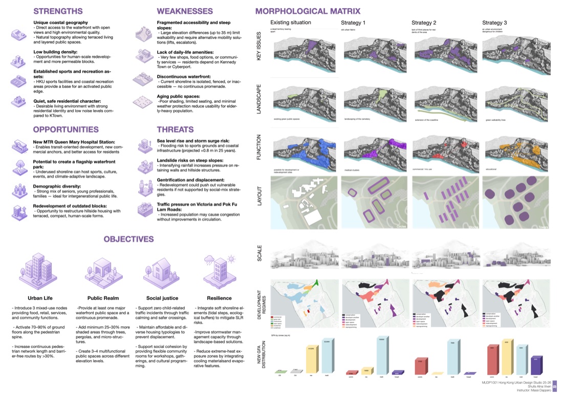 Pokfulam Waterfront panel — strengths, weaknesses, opportunities, threats; morphological matrix; objectives